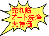 売れ筋 オート洗浄 大特価