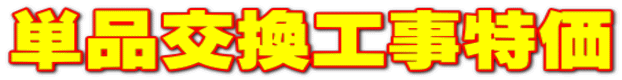 �P�i�����H������