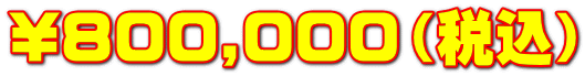 \800,000（税込）