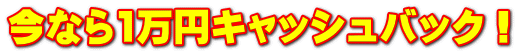 今なら1万円キャッシュバック！