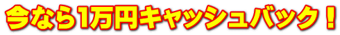 今なら1万円キャッシュバック！
