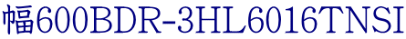 幅600BDR-3HL6016TNSI