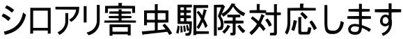 シロアリ害虫駆除対応します